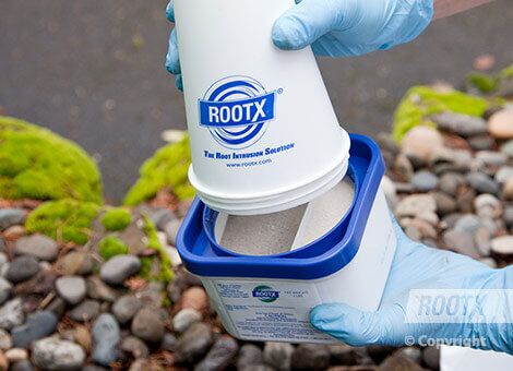 RootX EOFY Packs - Image 5